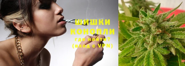 спайс Алзамай