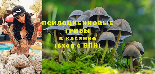 синтетический гашиш Алексеевка