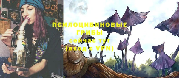 спайс Алзамай