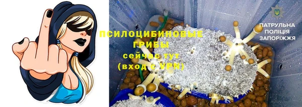 герыч Ростов