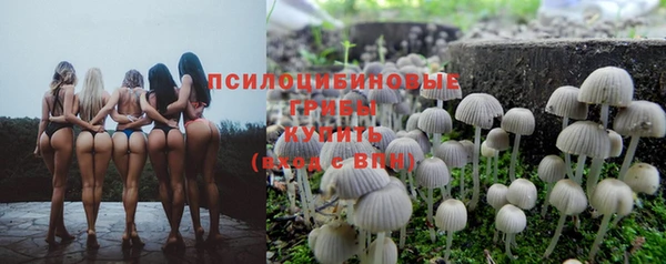 синтетический гашиш Алексеевка